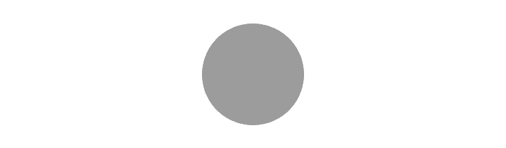 Solid gray circle.