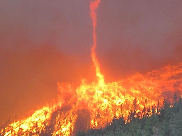 Image of a fire whirl twisting up from a forest fire.