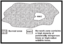 No work zone (NWZ) graphic showing a large circle shaded with a NWZ clear circle on right side within shaded area indicating the potentially dangerous tree or high-value wildfire area.