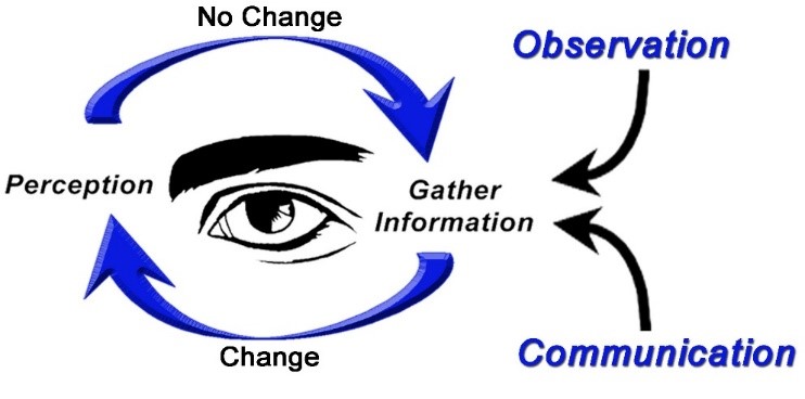 Observation and communication are linked to Situational awareness. The graphic shows an arrows circling line art of an eye and eyebrow with the words Gather information, Change, Perception, and No change circling the eye as well. 