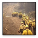 6mfs-tdih-veterans-day-fire-fighters.png