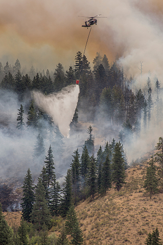 Photo of a helicopter flying into dense smoke from a forest fire.  Decorative.