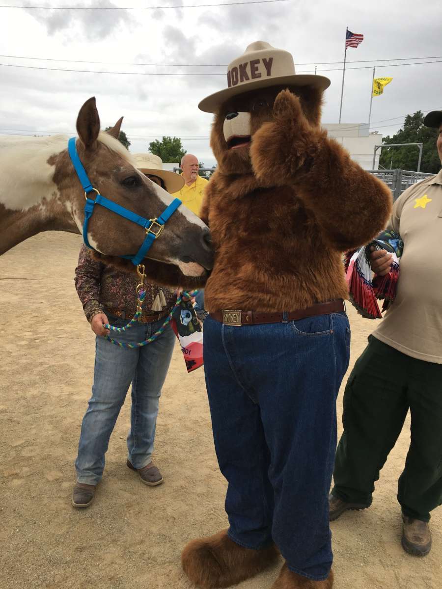 Smokey Bear with pack horse