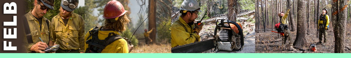 FELB decorative banner: Four photos depicting felling boss-single resource position, felling boss writing on notepad, felling boss holding radio watching a feller, felling boss on radio standing next to chainsaw, felling boss discussing felling a with faller.  The Felling Boss leads a felling team and is responsible for their safety on wildland fire incidents. FELB Position Description:  The FELB supervises assigned felling resources and reports to a Strike Team/Task Force Leader or other assigned supervisor. The FELB works in the Operations functional area.