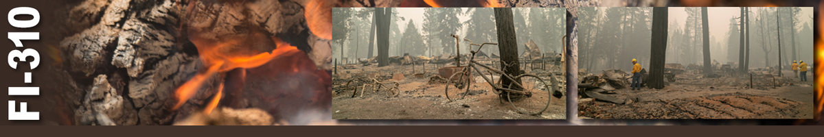 FI-310 Decorative banner. Photos representing wildland fire investigation operations. Two inset photos on a background of burning ambers. Inset 1 is an image of burned bicycles with burned out house in background. Inset two shows three fire inspectors looking at burned area of a fire. 