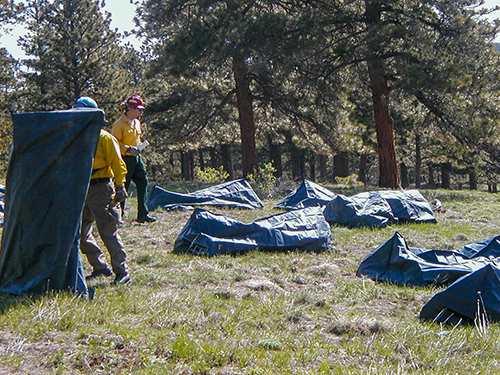 Firefighters practicing with fire shelters.  Decorative.