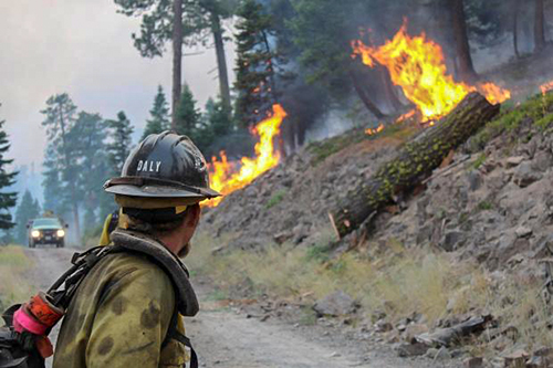 Firefighter looking at burning logs on hillside.  Decorative.