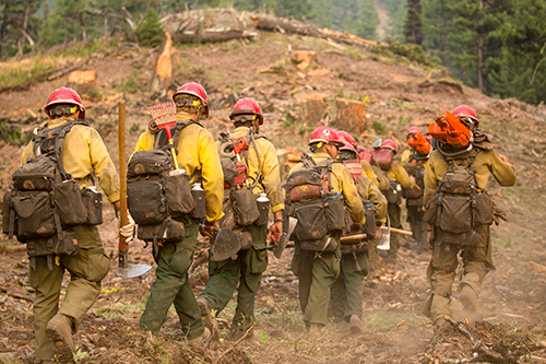Photo of a line of wildland firefighters walking away, single file, down a path.