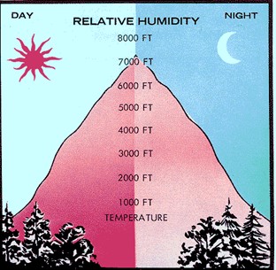 Comparing relative humidity day to night.