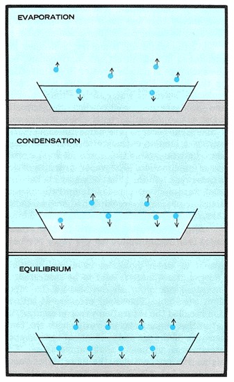 How evaporation, condensation, and equilibrium work.
