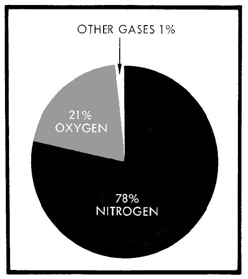 Pie chart showing one percent other gases, 21 percent oxygen, and 78 percent nitrogen.