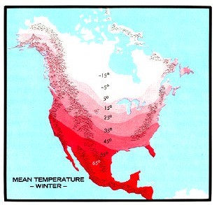 North America showing how mean winter temperatures decrease the further north you go.