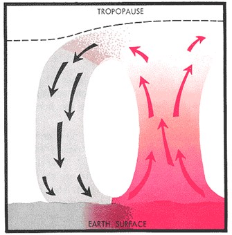 The general principle of convective circulation.