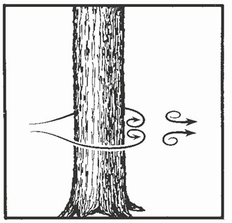 How tree trunks affect local eddies.