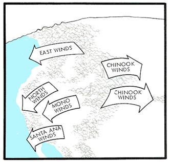 Different names of Foehn winds.