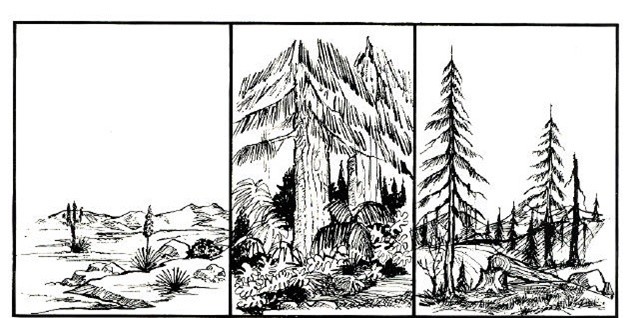 Three panels showing different types of forests.