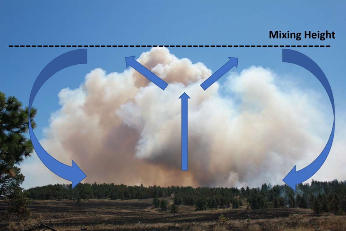 Smoke plume above a stand of evergreen trees with arrows indicating wind direction around plume and a line above the plume representing the mixing height.