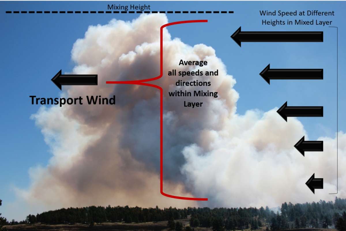 Smoke plume above a stand of evergreen trees with arrows arranged from right to left at varying levels indicating wind speed at different. A line above the plume representing the mixing height.