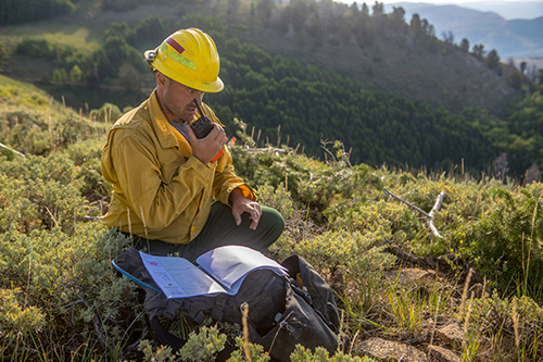 Photo of firefighter talking on radio in a clearing.  Decorative.