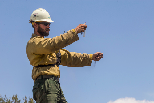 A wildland firefighter holds a weather meter out in front of him while dropping a handful of dirt with other hand to gauge wind direction.  Decorative.