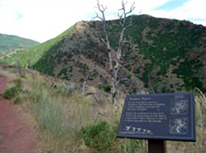 This location provides an excellent vantage point of the Double Draws, the Lunch Spot, Petrilli's photo point, and Longanecker's position above the West Drainage. Anywhere along this ridgeline between where the trail first crests the ridge and the Overlook Point can serve as Stand 2. This location is approximately ½ mile from the Trailhead.
