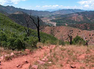 The junction of the Main Ridge and the top of the West Flank Fireline is an important geographical location regarding firefighter location and movement. This point was identified in the Research Paper RMRS-RP-9, Fire Behavior Associated with the 1994 South Canyon Fire on Storm King Mountain, Colorado and was used as a reference for distances along the Main Ridge and the West Flank Fireline.