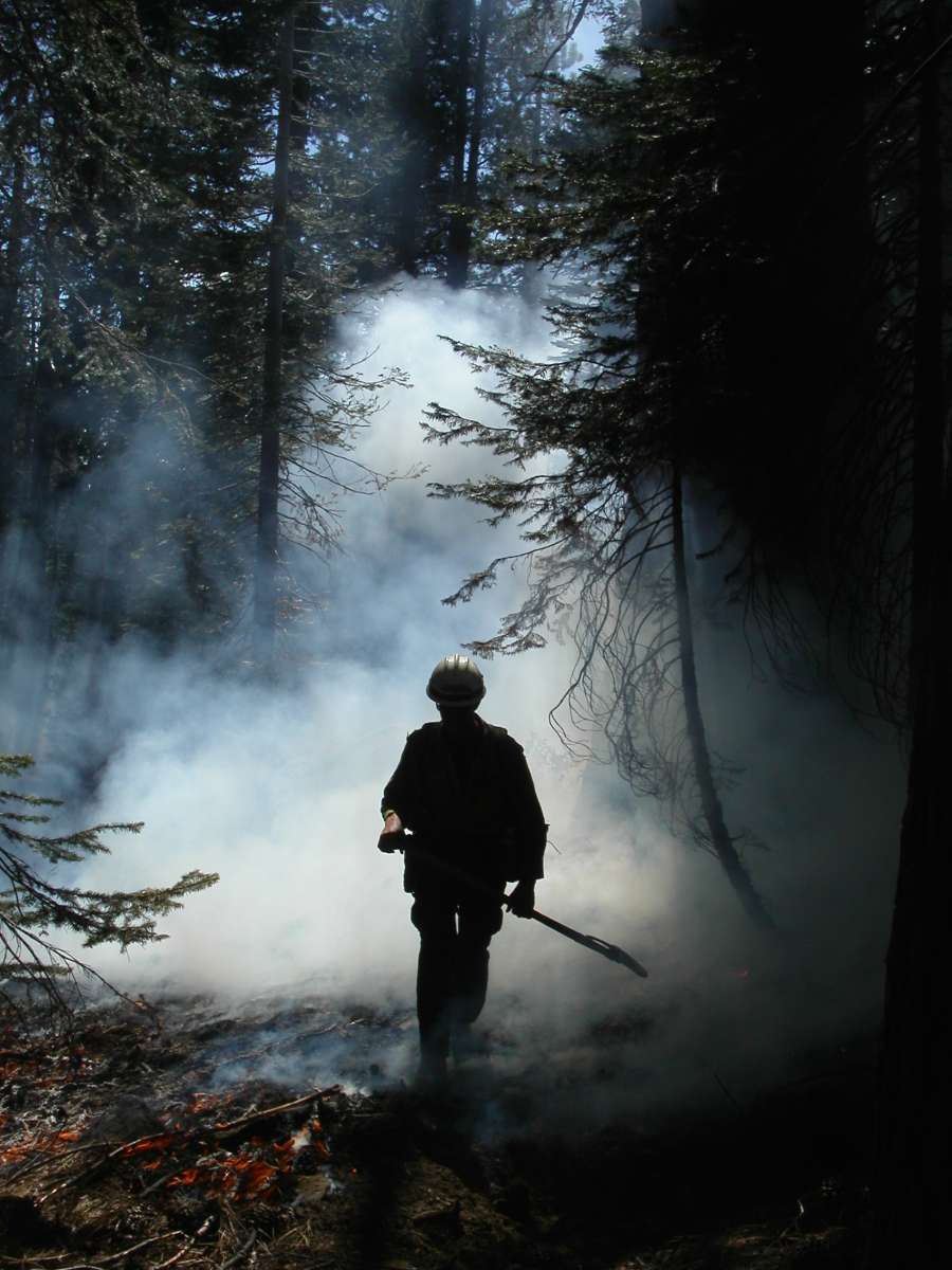 photo of firefighter walking through smoking woods