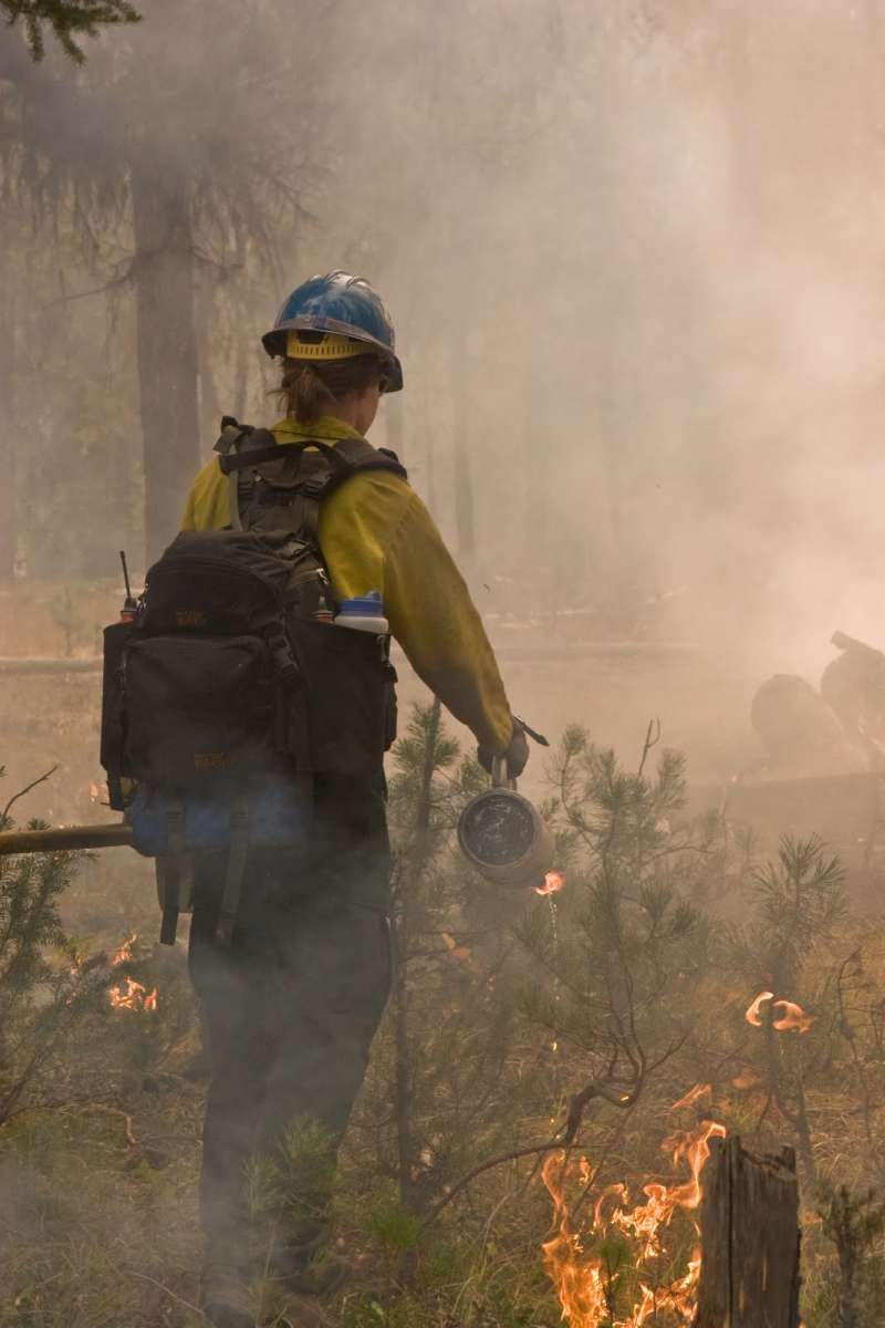 photo of wildland firefighter with drip torch