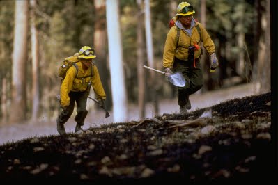 picture of 2 firefighters climbing a hill with gear