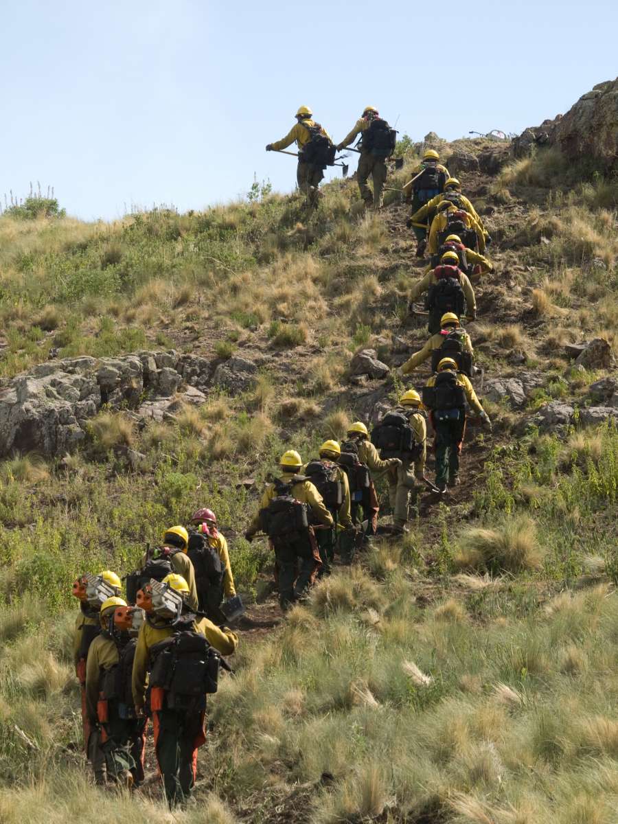 Firefighters walking up a hill with tools.  Decorative.