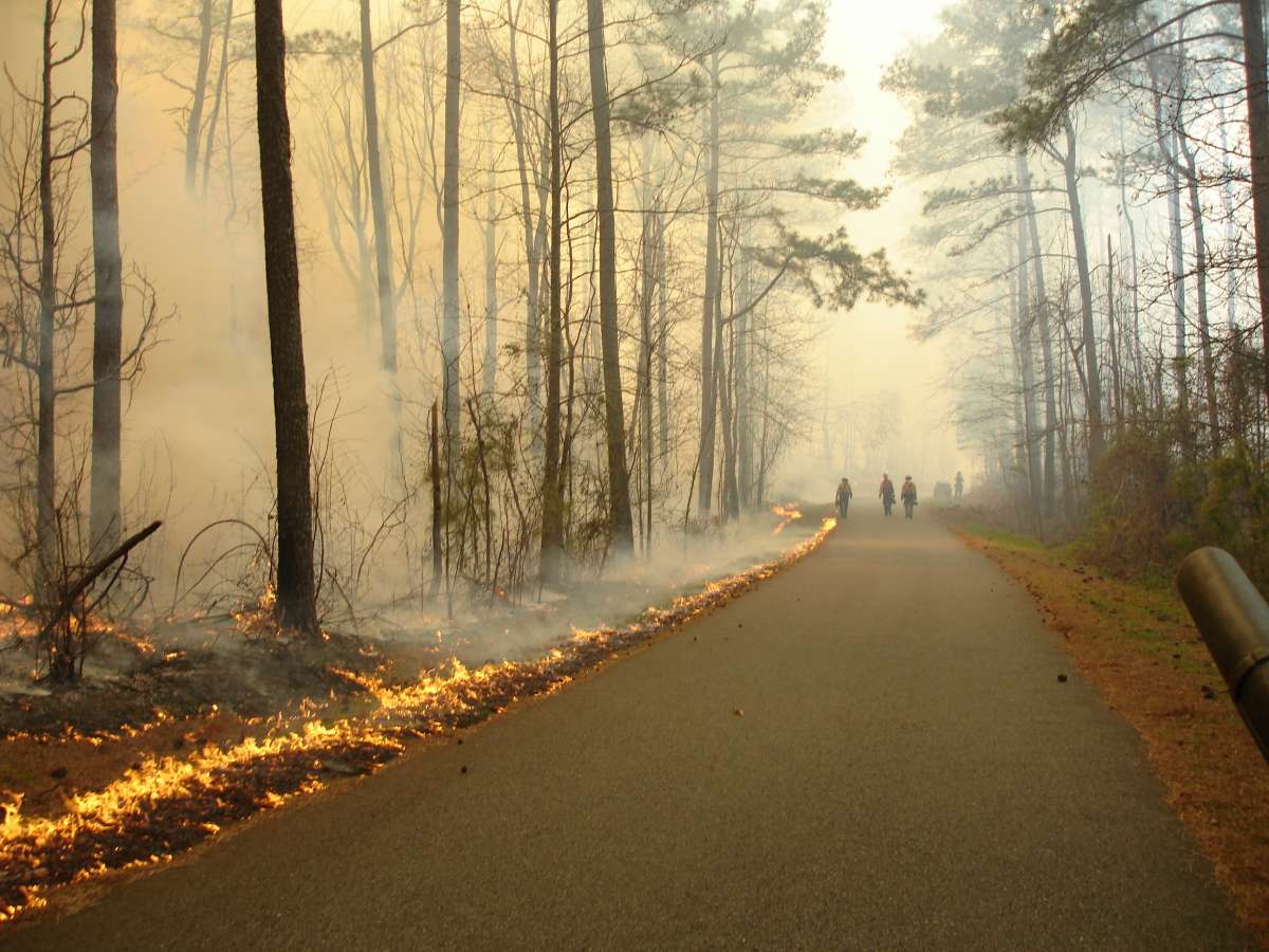 Photo of firefighters walking down a smoky road