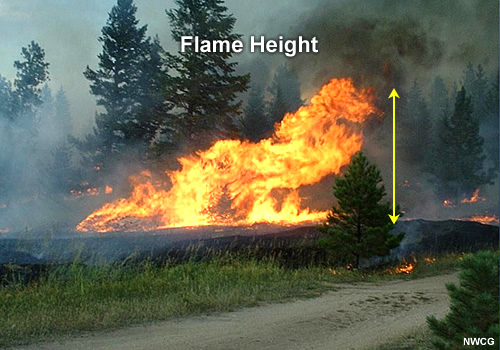 photograph showing flame height
