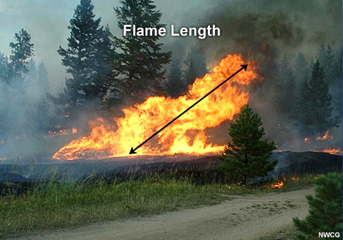 photo showing flame length