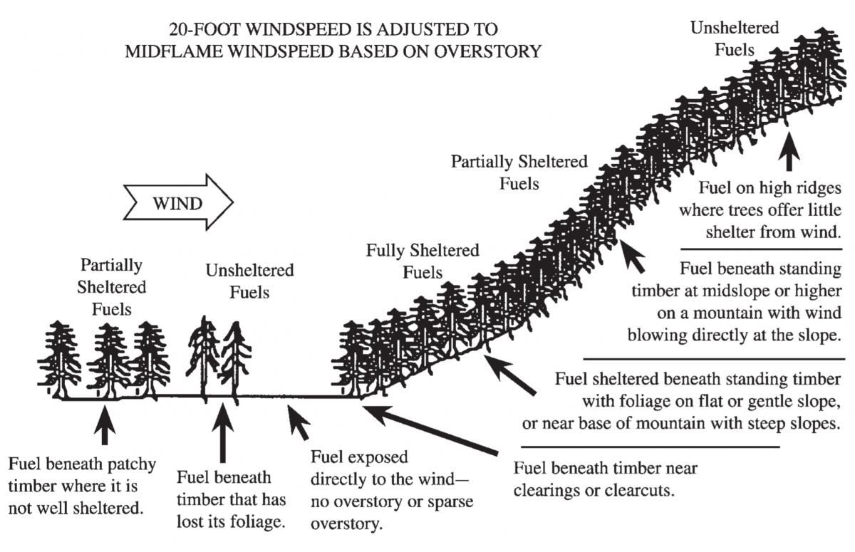 Diagram of fuel concentrations and shelter and the adjustments to 20-foot wind calculations