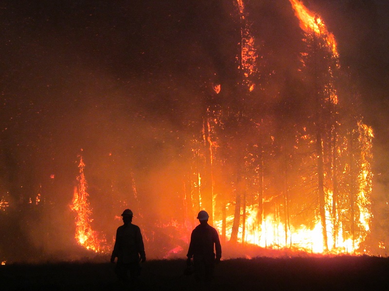 Photo of fire fighters with forest burning. 
