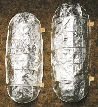 Two metallic color, oval shaped fire shelters, on the ground, side-by-side. 
