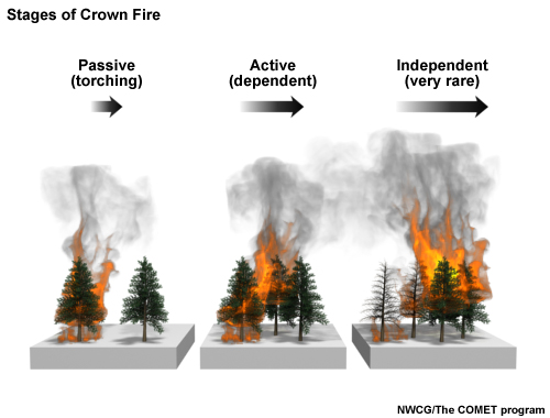 This graph compares Crown Fire spread rates utilizing several surface shrub fuel models and compares them to the Rothermel Crown Fire Spread Model.  