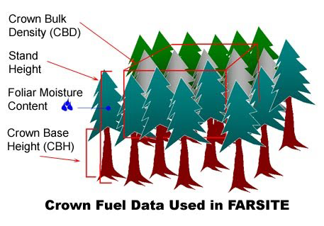 Describing a Forest Canopy. This graphic highlights the way to think about the primary descriptors for crown fire prediction. Crown Bulk Density describes the crown fuel load and distribution. Stand Height describes height of canopy tops. Crown Base height represents the difficulty for surfaces fires to ignite the canopy. And Foliar Moisture content suggest how readily the canopy will burn.