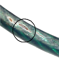 image of a damaged plastic coated wire rope