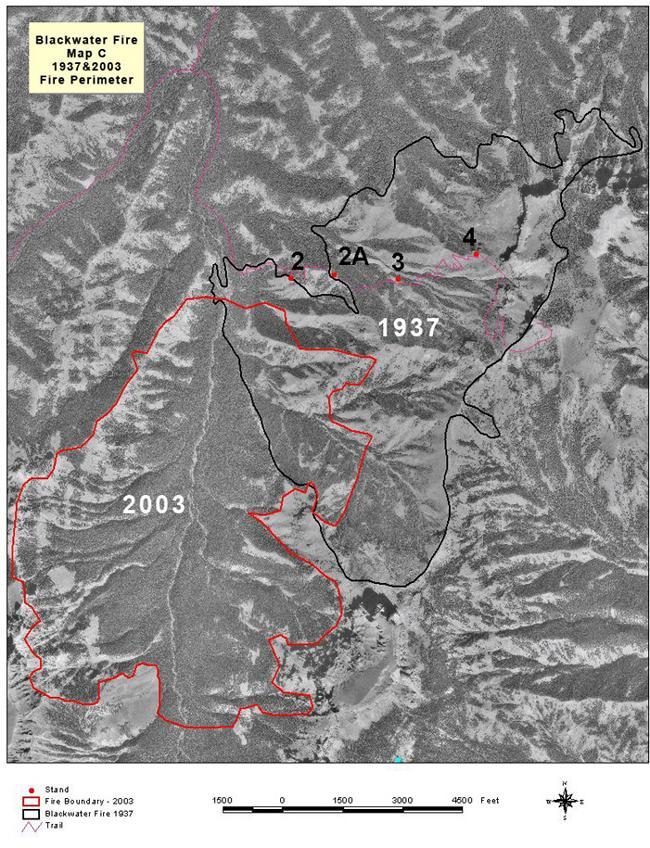 Map C - Orthophoto showing perimeters for the 1937 fire and the 2003 fire
