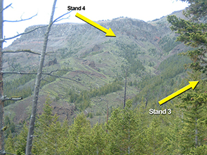 As you walk up the ridge from Stand 2, you will come to this point with a vantage of both Clayton Gulch and Post Point. If time is limited, you can use this as an alternate location to conduct discussions for both Stand 3 and Stand 4. This location is identified as Stand 2A on the maps and in the Facilitator's Field Reference.