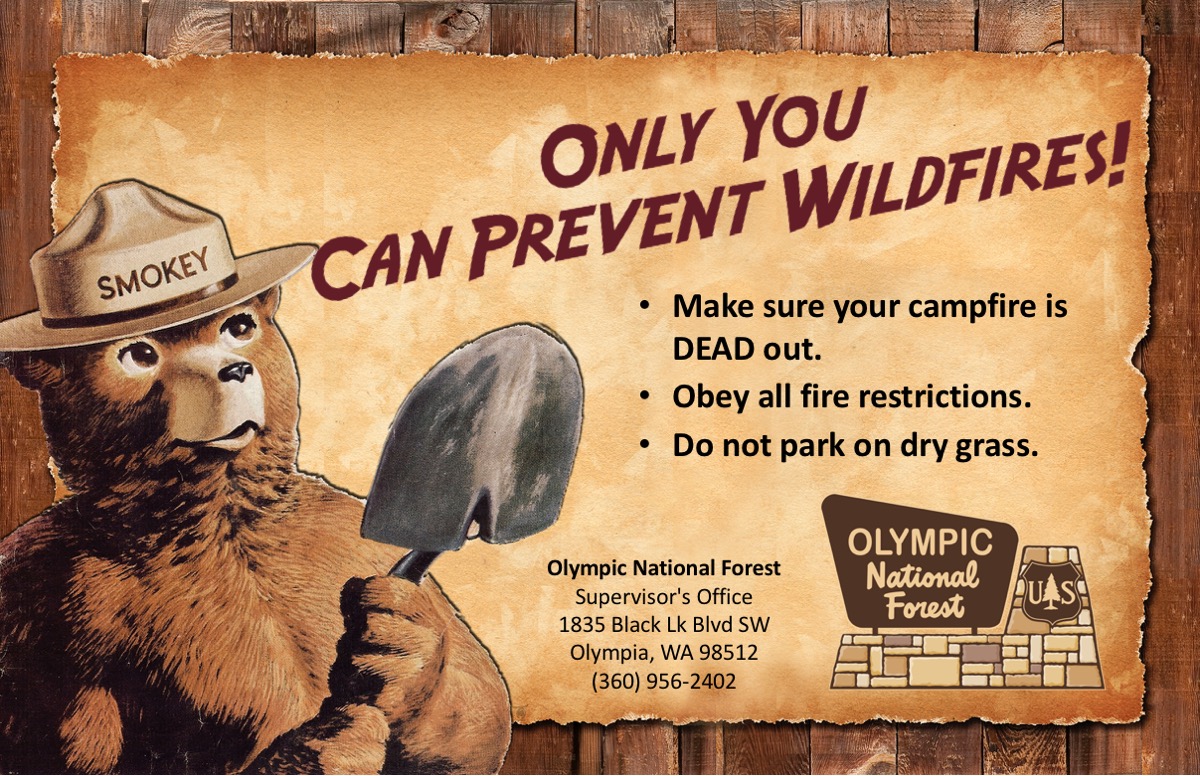 Smokey on rustic background, only you can prevent wildfires, fire prevention tips