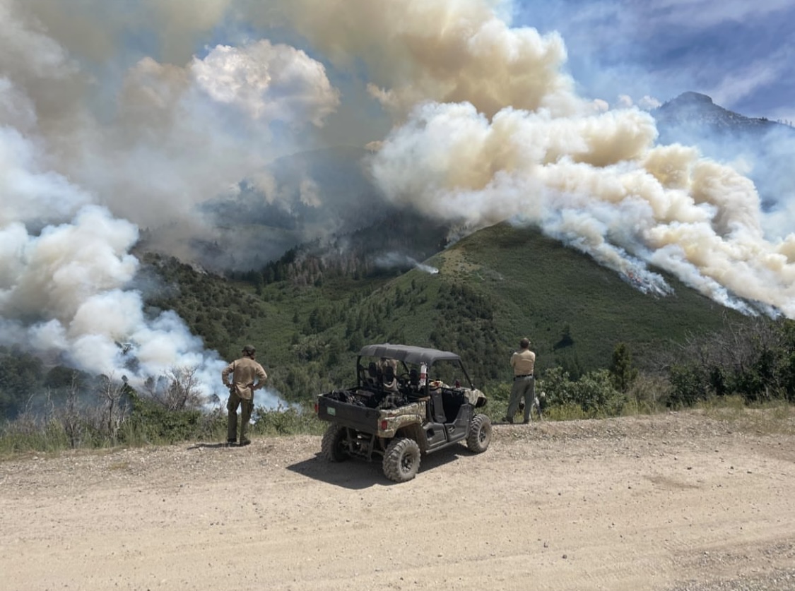 NWCG Off-Highway Vehicle Typing Standard Request for Comment | NWCG