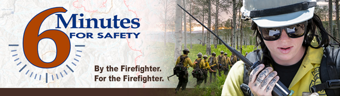 6MFS decorative banner. Logo on left, image of wildland firefighters walking into woods with a female firefighter in foreground talking on a radio.