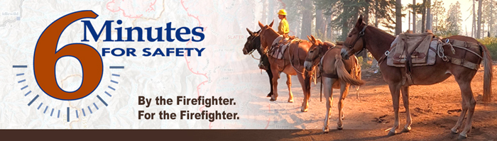 6MFS decorative banner. Logo on left, image of a string of pack mules with wildland firefighter in the lead.