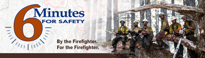 6MFS decorative banner. Logo on left, image of six wildland firefighters sitting on a huge sequoia branch holding their chainsaws.