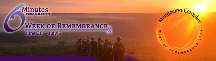 6MFS decorative banner. Week of Rembembrance. Image of wildland firefighters walking into open sage during sunset.