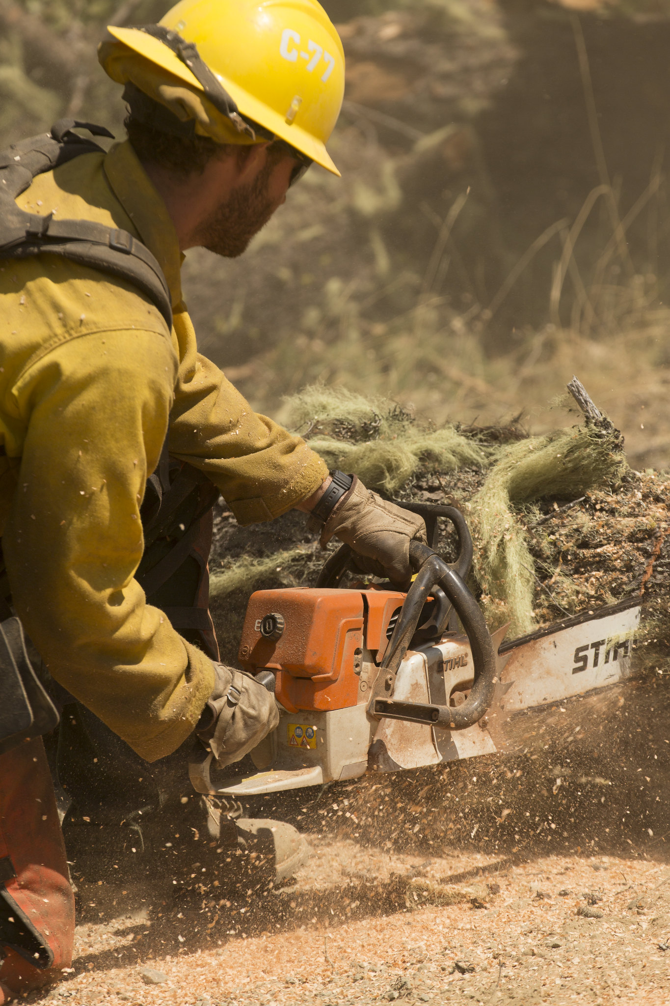 NWCG Standards for Wildland Fire Chainsaw Operations, PMS 212, and Next
