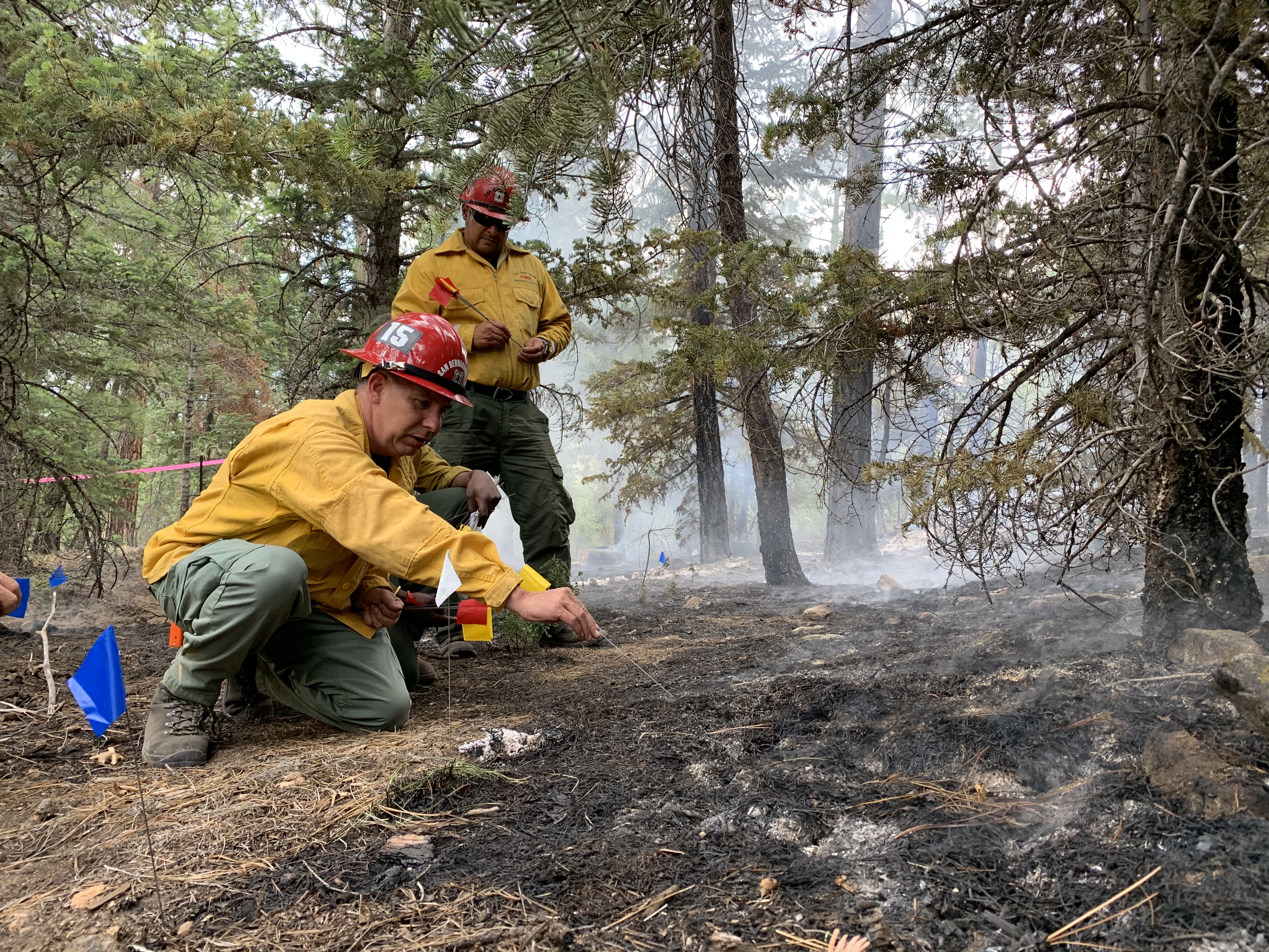 Updated, NWCG Guide to Wildland Fire Origin and Cause Determination