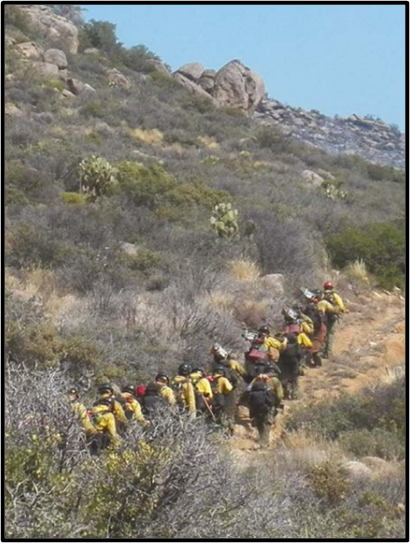 Contingent of wildland firefighters hiking single file up a hill.